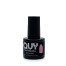 QUY - Gel Polish NOSTALGIA - 8ml